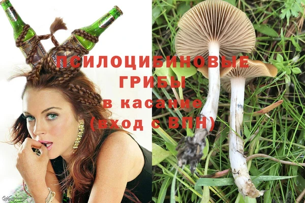 mdpv Алзамай