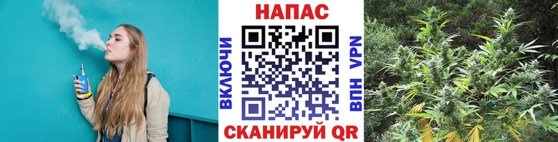 Канабис семена  Жирновск 